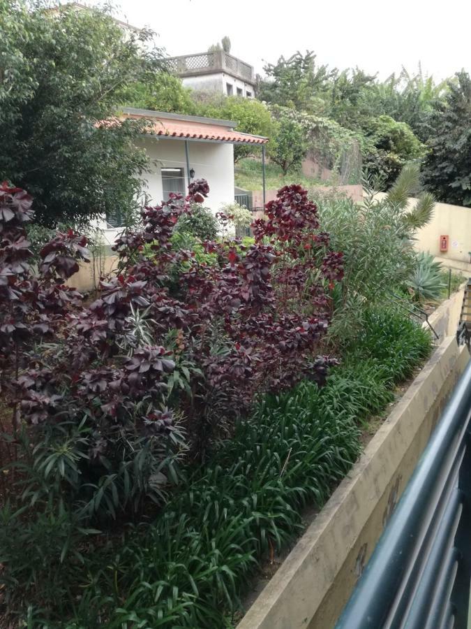 Madeira Funchal Gardens Apartment Exterior photo